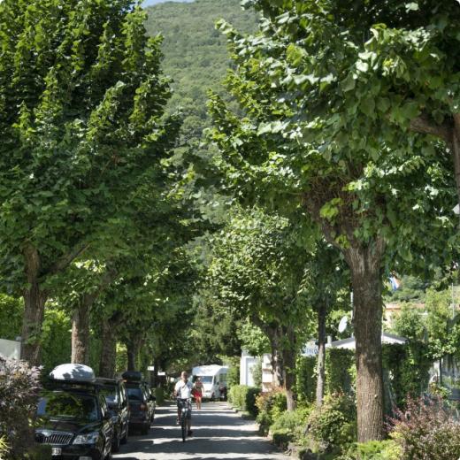 Viale alberato con ciclista, auto parcheggiate e montagne sullo sfondo.