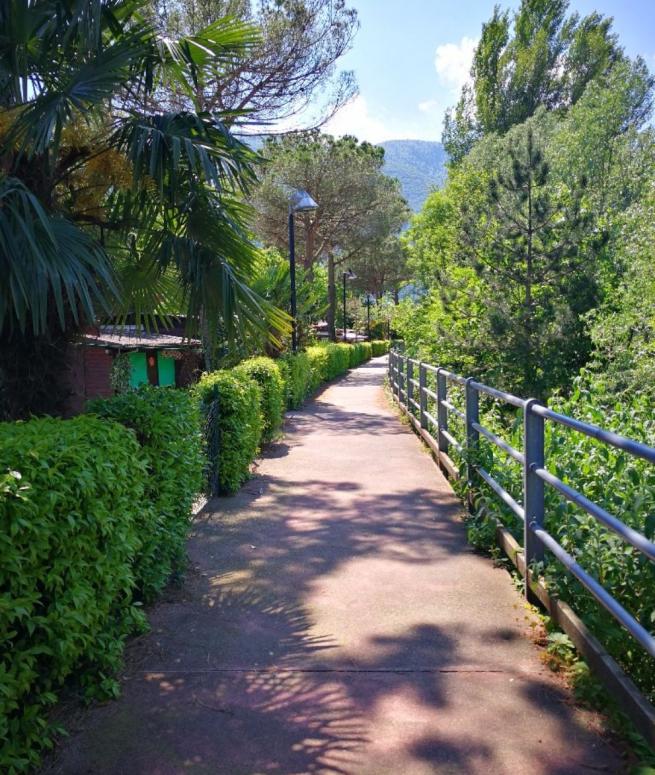 Sentiero alberato con ringhiera, immerso nella natura, sotto un cielo sereno e soleggiato.